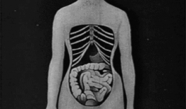 束腰视频,塑形美体新潮流