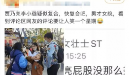 娱乐圈吃瓜爆料贾乃亮,揭秘背后的真相与争议